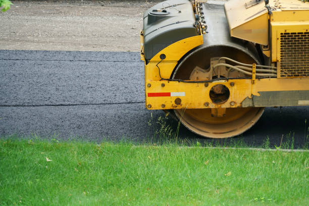 Best Driveway Pavers Near Me  in Picacho Hills, NM